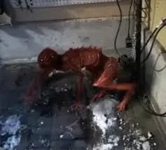 Juvenile Mimic [VITA CARNIS]