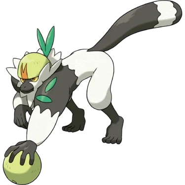 Passimian tf