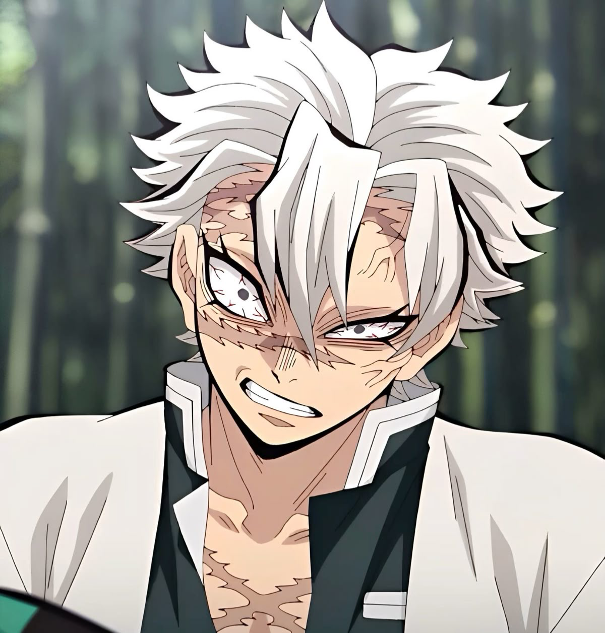 17 - Sanemi Shinazugawa