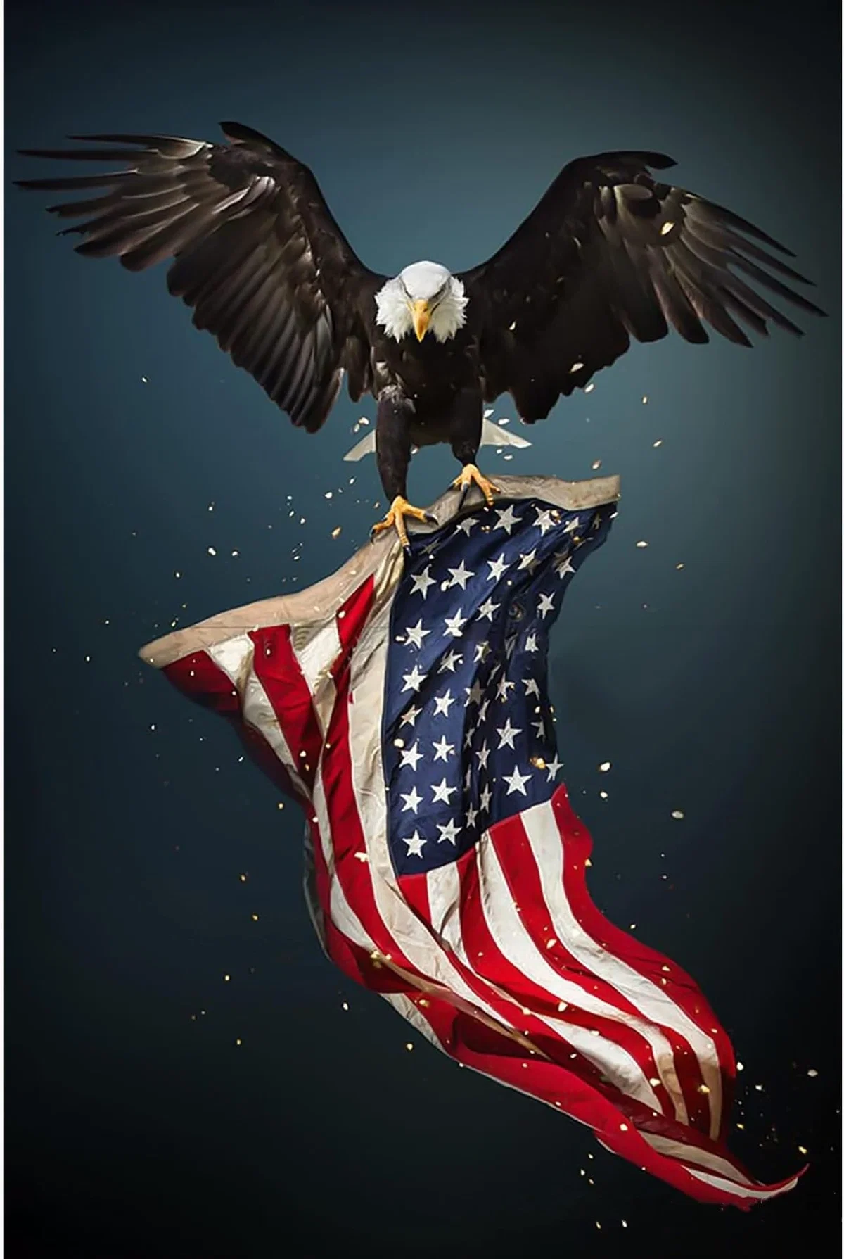 You wake up in 2019 America