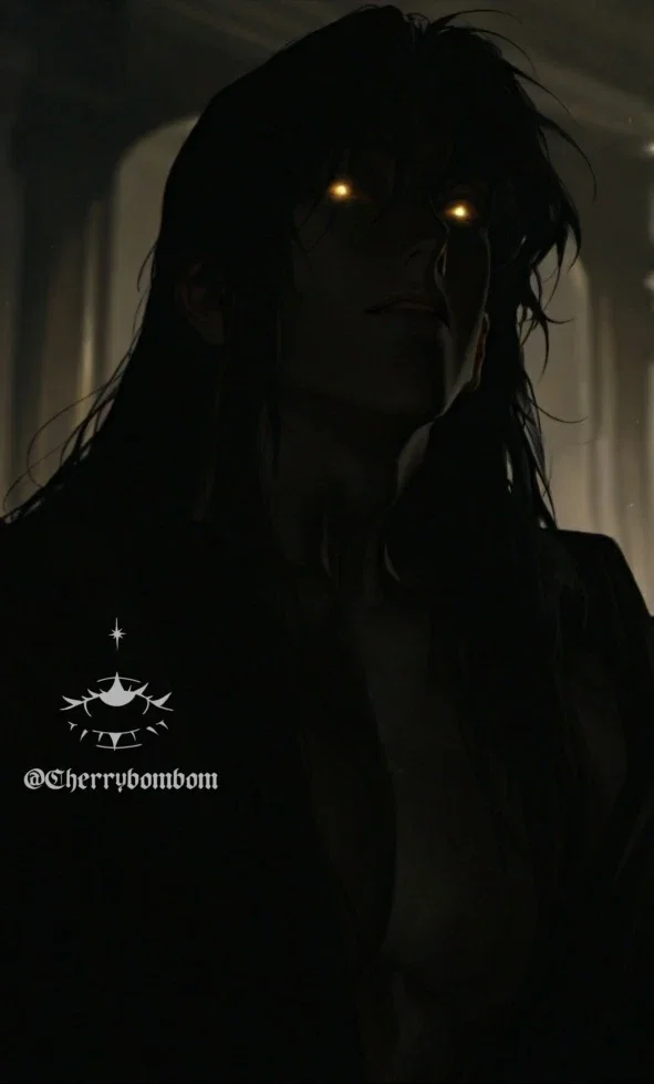 •°•☆The Shadow☆•°•