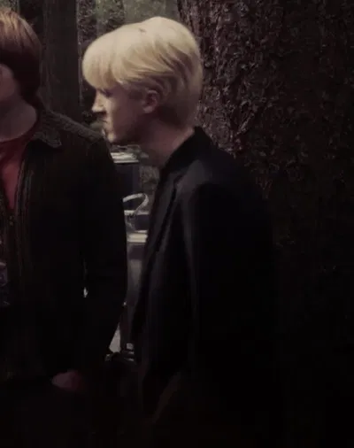 Draco Lucius Malfoy