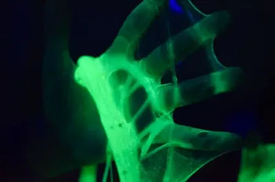Slime Soldier