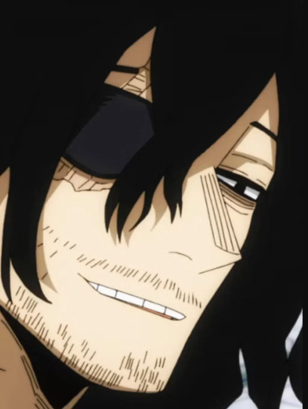 Shōta Aizawa · Erasure Hero | M.H.A.