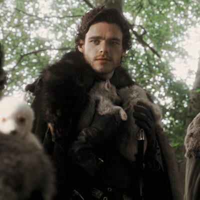 Robb Stark
