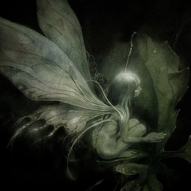 Fairie || ⋆++⋆ ☾𖤓 ⋆++⋆