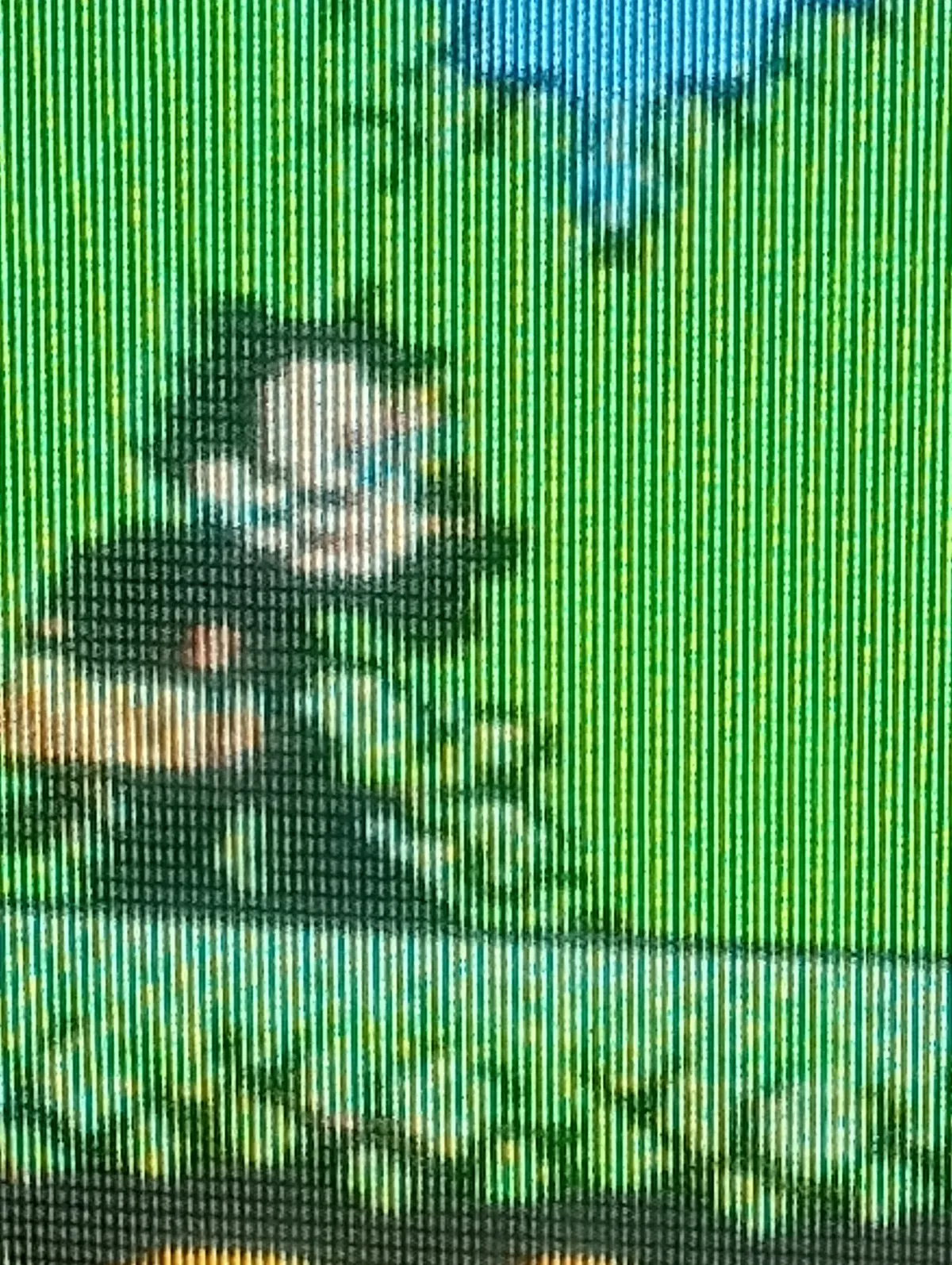 felix the cat