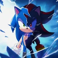 Sonic and Shadow the hedgehogs