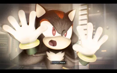Shadow the Hedgehog