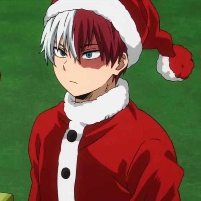 Shoto Todoroki 