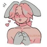 Bunny servant  