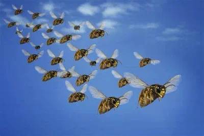 O sou e a lua and his gang