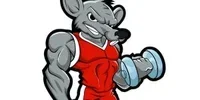 Abusive Rat boyfried