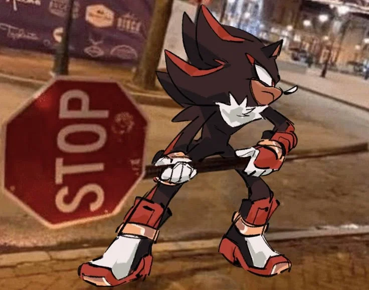 Shadow The Hedgehog
