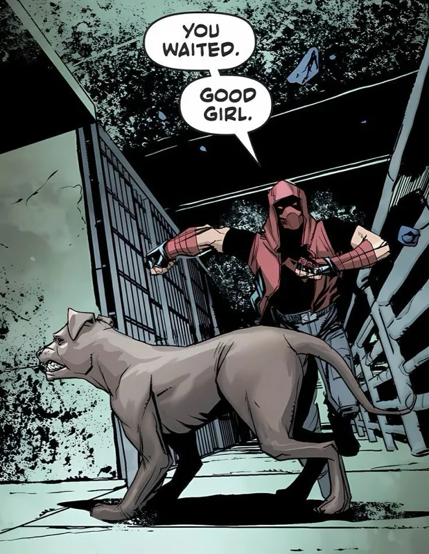 Jason Todd Redhood