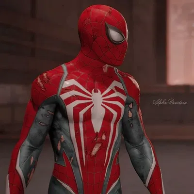 Spider-Man|Peter Parker(Earth-1048)