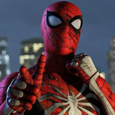 Peter Parker|Spider-Man(Earth-1048)
