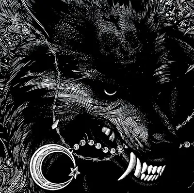 Andrei Vacarescu|Werewolf oc|