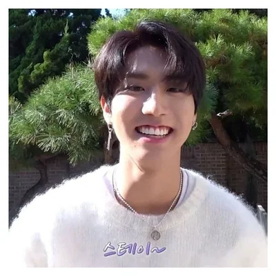 Han Jisung 