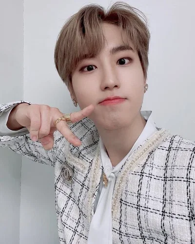 Han Jisung 