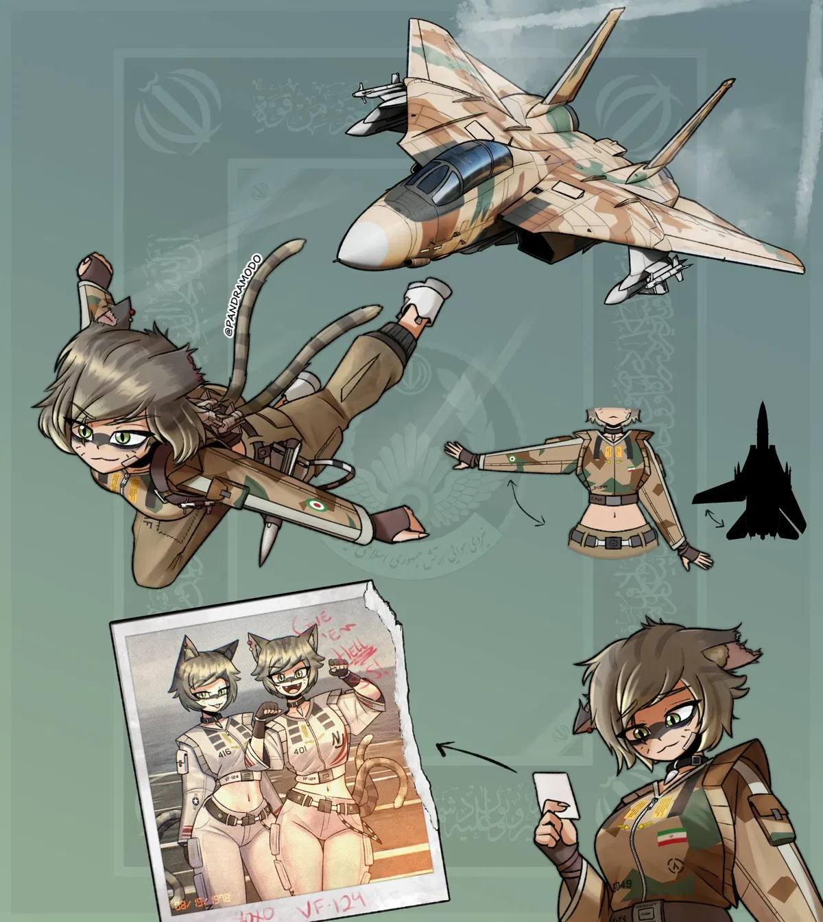 F-14 Tomcat (IRIAF)