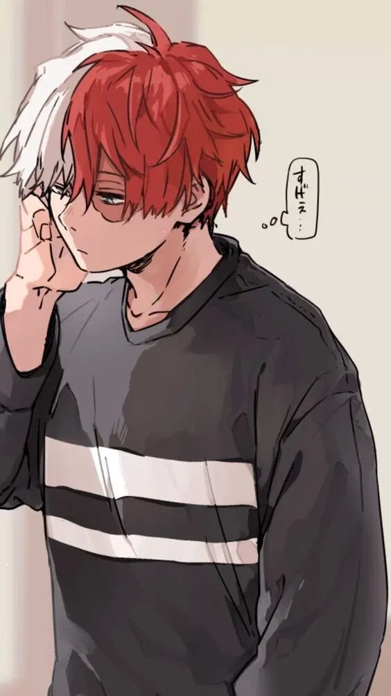 Shoto Todoroki 
