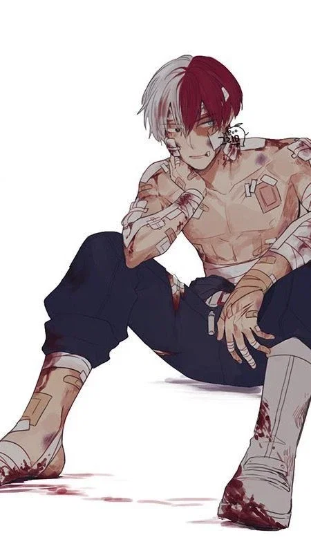 Shoto Todoroki 