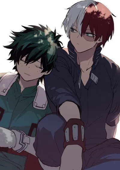 Shoto & Izuku -Character Comfot- 