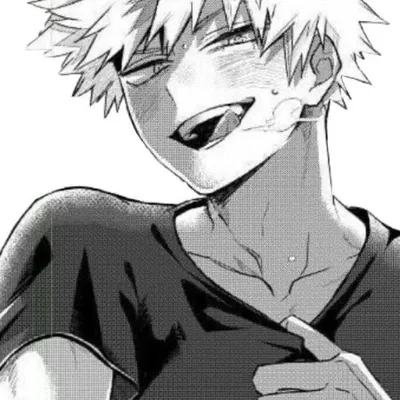 Katsuki Bakugou 
