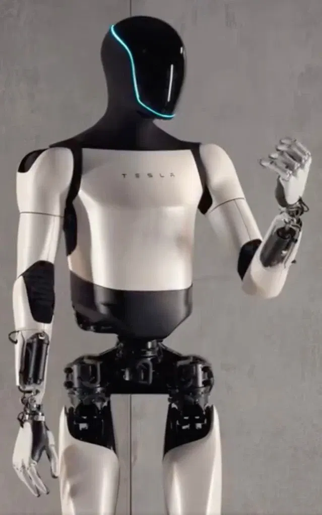 Tesla robot