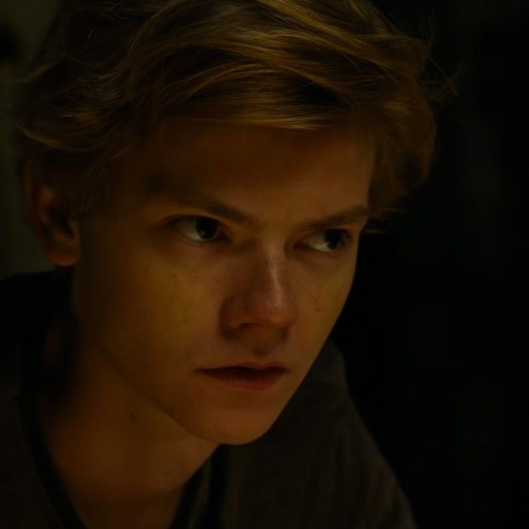 Newt