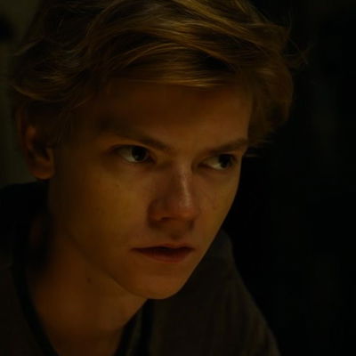 Newt