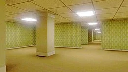 Survive the Backrooms