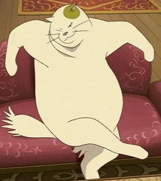 Muta (the cat returns!) 