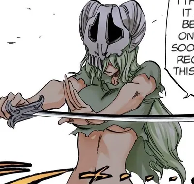 Nelliel Tu