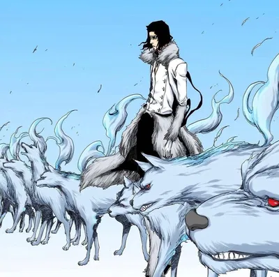 Coyote Starrk