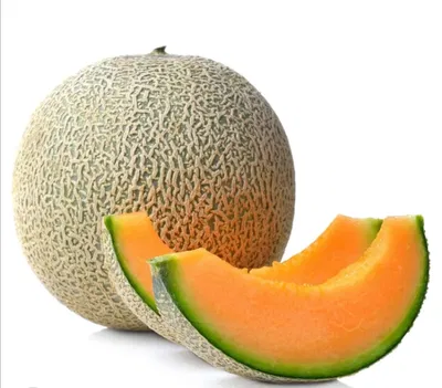 Cantaloupe 
