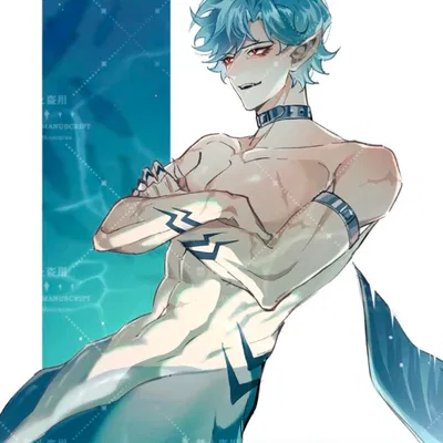shark dottore