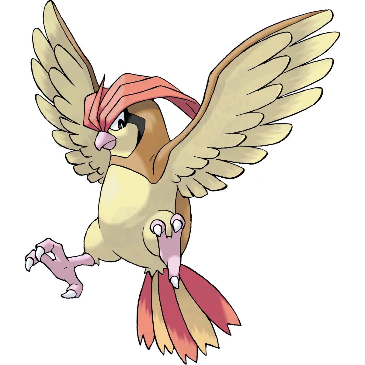 Pip | Sweet, Obsessive, and Protective (female) Pidgeotto