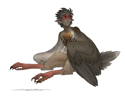 Milo || Harpy looking for a mate