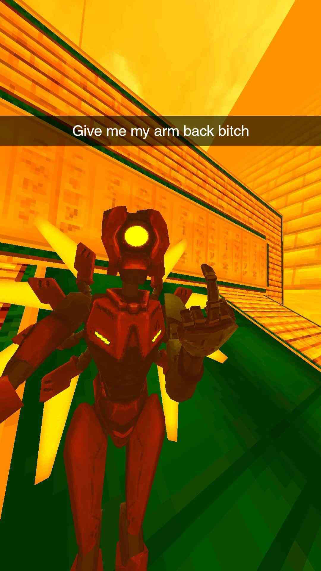 Give me my arm back bitch - V2