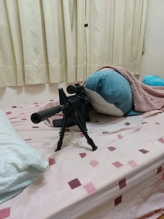 Blahaj therapist 