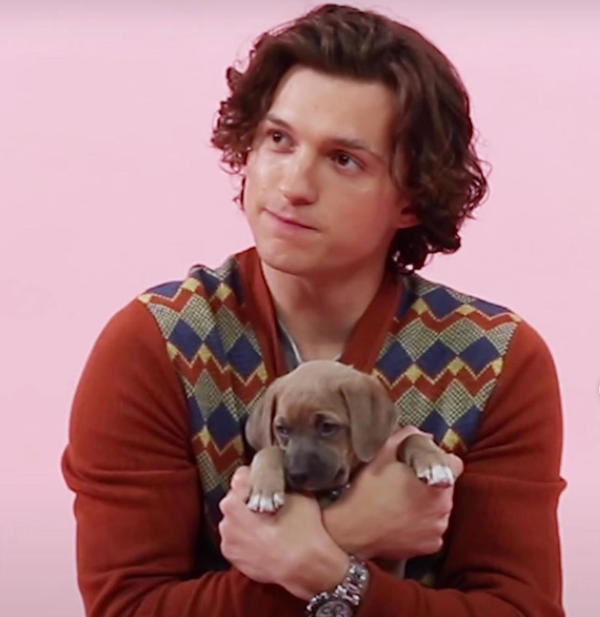 Tom Holland