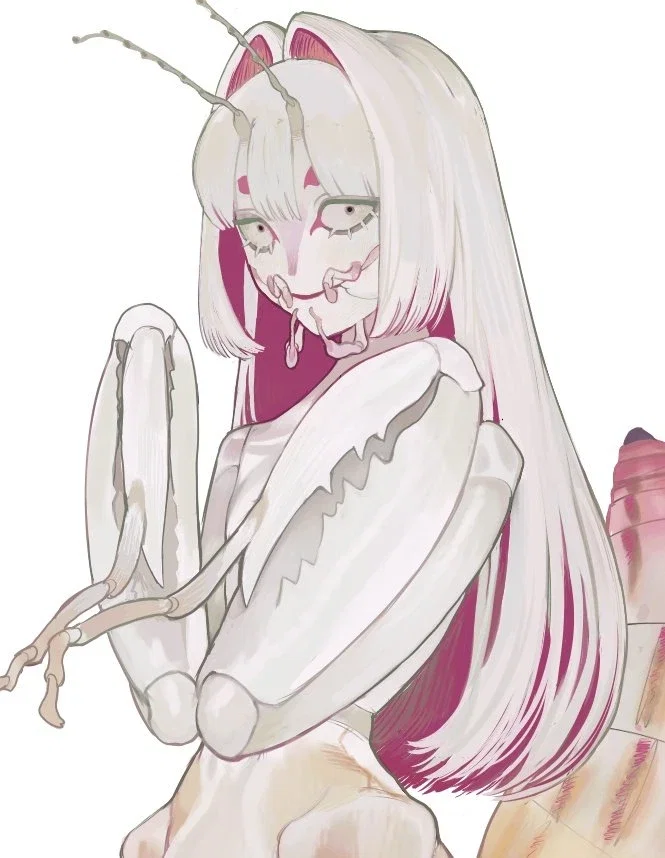 Hoa Lan | Orchid Mantis Owner