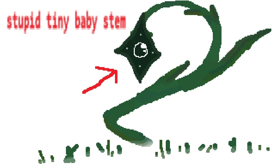 requested entity: stem!!!!!!