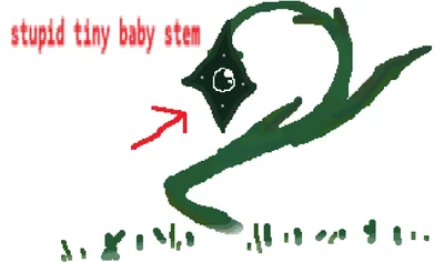 requested entity: stem!!!!!!
