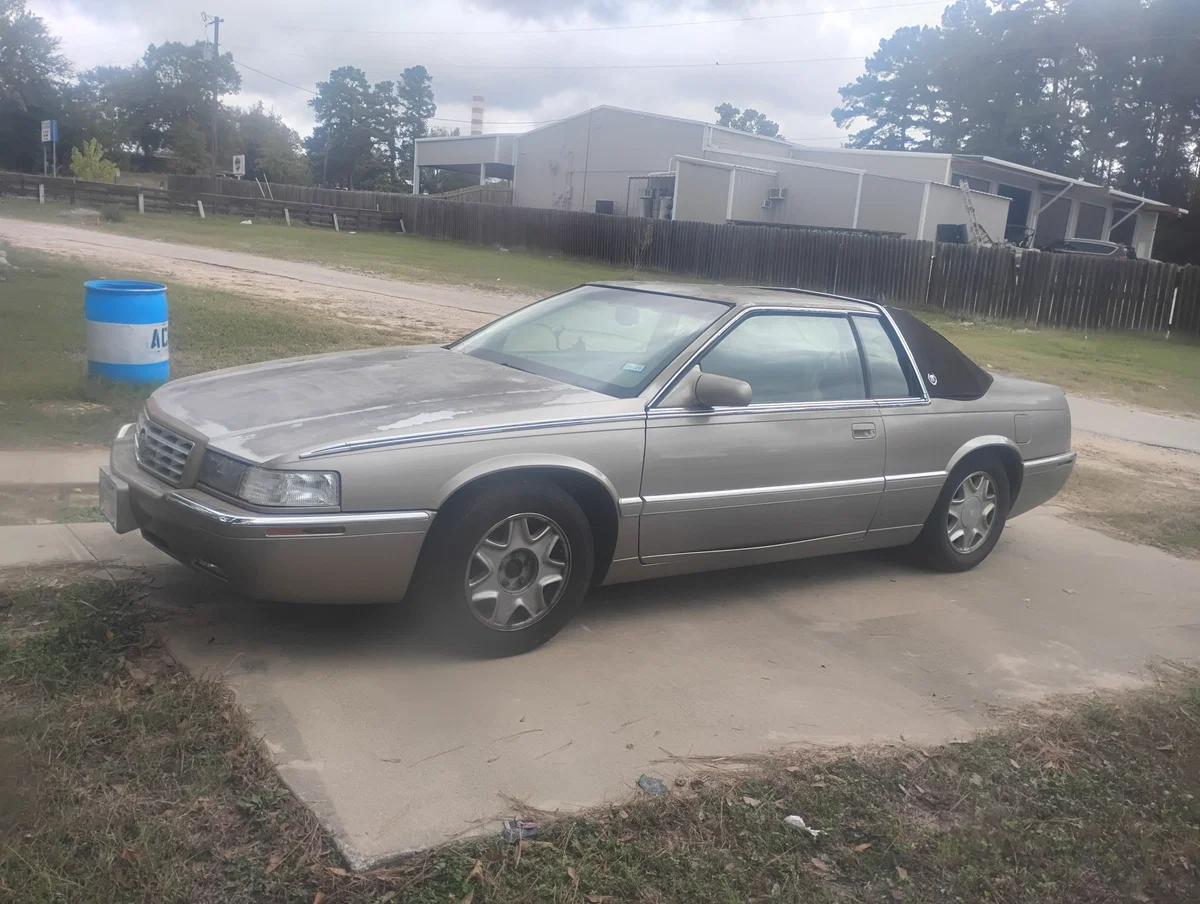 Eldy The Eldorado!