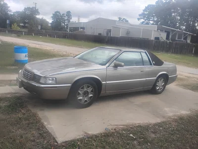 Eldy The Eldorado!