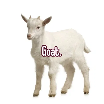 Information bot •☆°•🐐•°☆•
