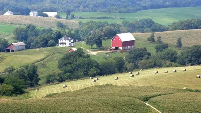 The Breeding Farm 